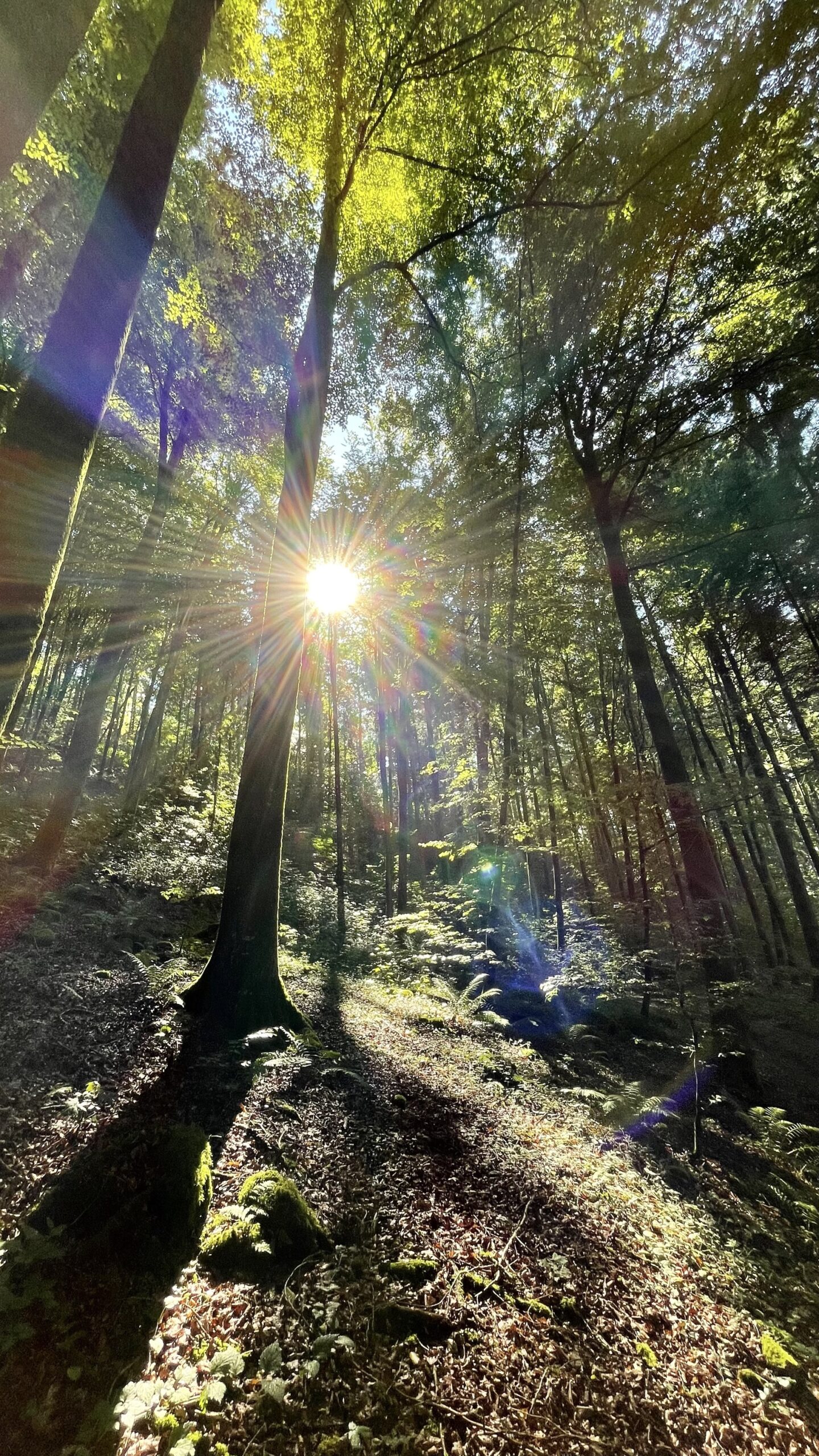 Oktober_Klumpp_Rudi